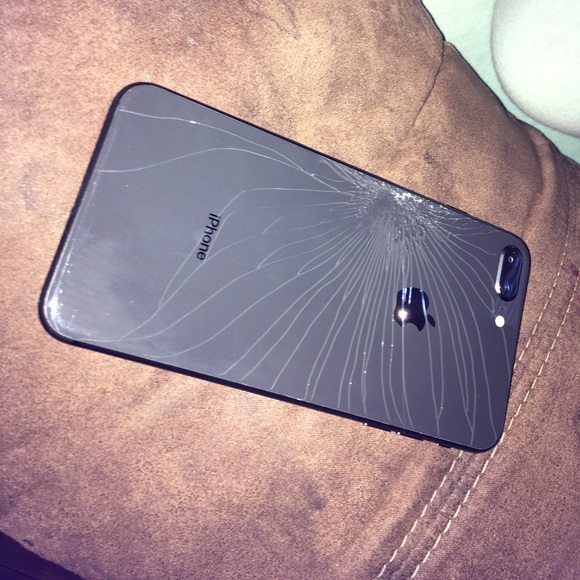 Meet your Posher, Chyanne - Picture 1 of 1